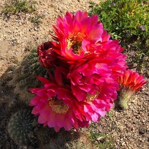 Meet your Posher, Robin